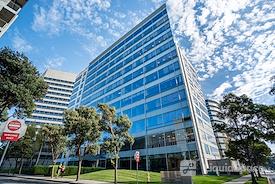 SPACES || Oyster Point