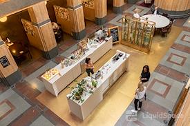 SPACES | THE HAGUE, Spaces Rode Olifant