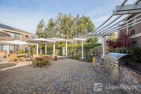 Maple Tree Inn
