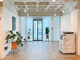 SPACES| Mexico City, Revolucion 1877