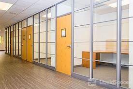 Boxer - 85 Swanson Road