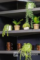 Regus | Cork, Horgans Quay