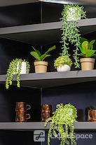 Regus | Cork, Horgans Quay