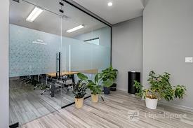 Mango Space Lutz (Allegra)