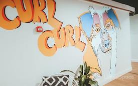 WOTSO Manly (Northhead)