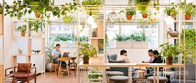 WeWork Prestige Atlanta