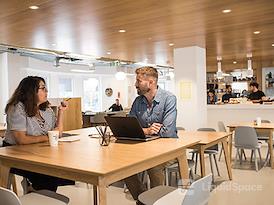 SPACES | Brighton,Trafalgar Place