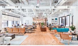 WeWork - Andrés Reyes 338