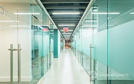 Bond Collective 55 Broadway