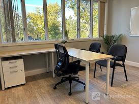 Suites 204