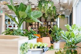 Odeon Towers | City Hall