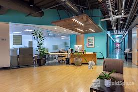 SURF Incubator