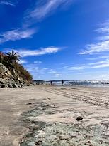 De'Anna Nunez Hypnosis