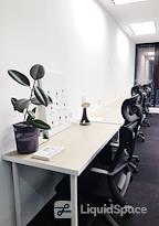 PAPER + TOAST X Seedspace