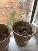 Regus | FL, Fort Lauderdale - Sawgrass