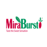 Logo of MiraBurst Private Office
