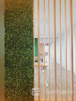 Cocoa Beach Office CoWorking