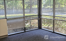 (3) Office Spaces for Rent - Window Views, Single Story