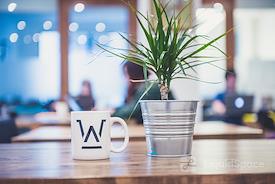 Workhaus | FiDi