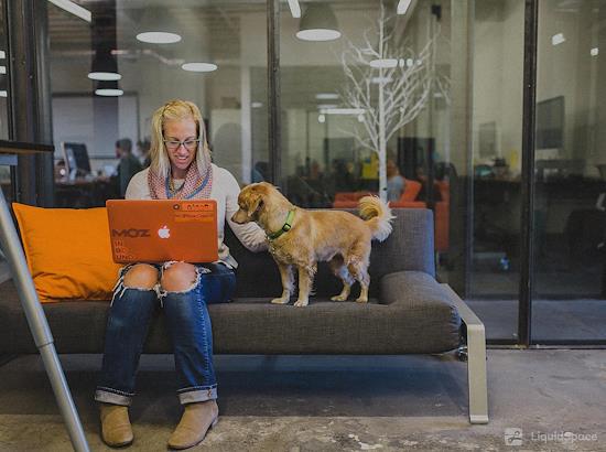 Working at Union Cowork North Park at San Diego