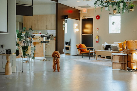 Nook - Coworking Space in Richmond - 2nd Floor Lounge & Patio