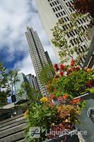 Carr Workplaces - Embarcadero Center