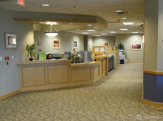 Working at Intelligent Office Dallas (Las Colinas) at Dallas