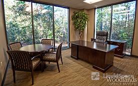 The Woodlands Office Suites
