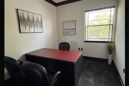 Remote Workspace and Reading Lounge - Suite #14