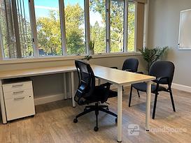Suites 204