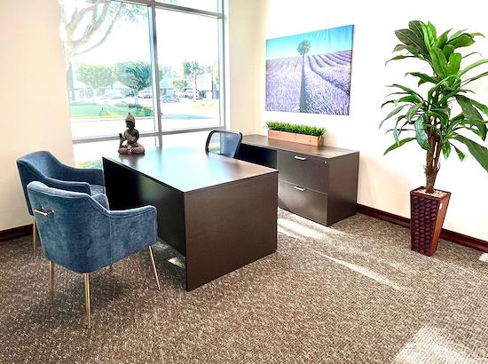 Working at Prime Executive Offices, LLC. at Carlsbad
