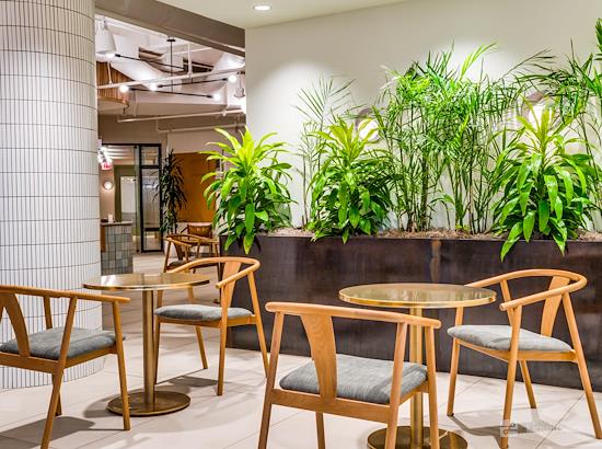 Working at Foster Coworking at Irving