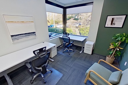Ideal Spaces Bellevue - Medium Outside Office (Copy)