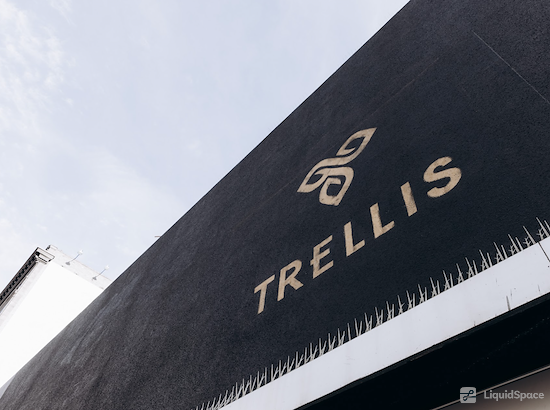 Working at Trellis Coworking & Events at San Francisco