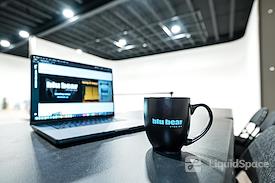 Blu Bear Studios
