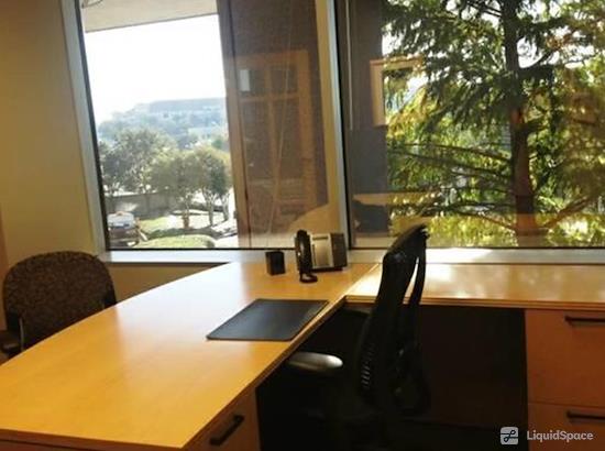Working at Intelligent Office Dallas (Las Colinas) at Dallas