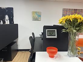 OFIS CoWork
