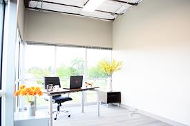 Business E Suites