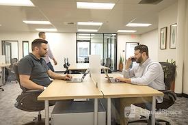 Bloom Workspaces