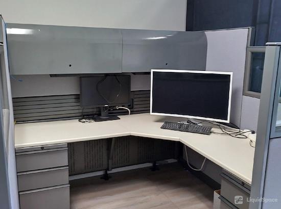 Working at Vox & Vistas at Cedar Park