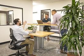 Bloom Workspaces