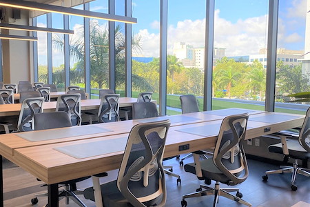 ICONIC Workspaces - Dedicated Desk