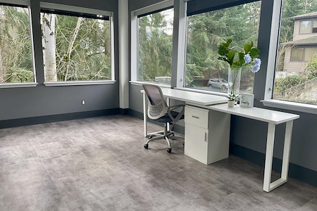 WorkSphere Bel-Red - Private Office - Day Rental