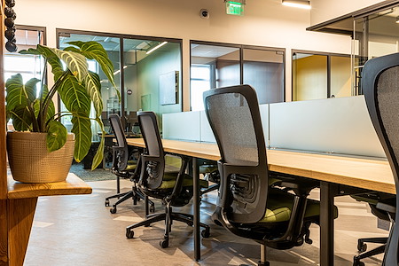 4 & Co Coworking Spaces - Land O' Lakes - Hot Desk Day Pass