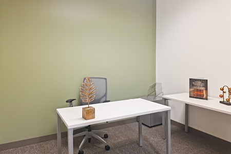 SPACES | FL, Miramar Beach - 495 Grand Blvd - Day Desk
