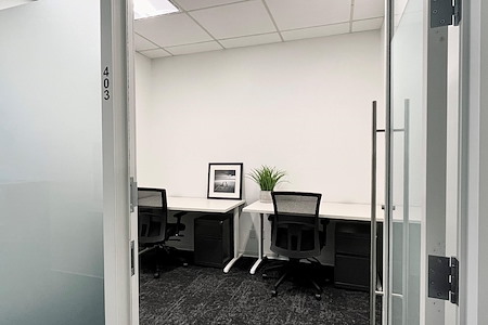 The Professional Centre - 2 Person Interior Office