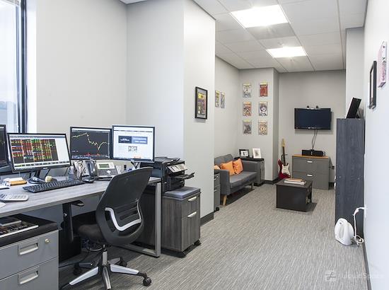 Working at Intelligent Office of Alexandria at Alexandria