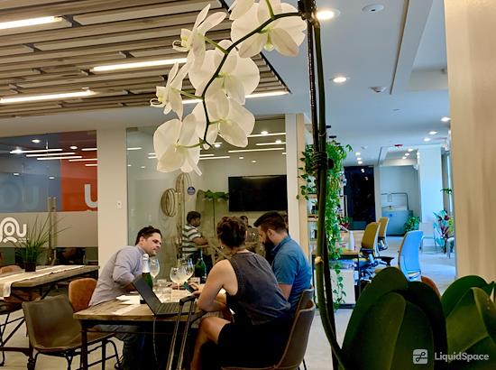 Working at Tedge Mindful Coworking at Miami