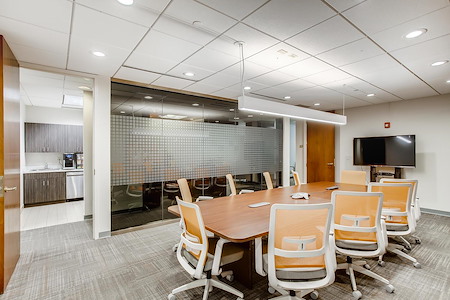 Office Evolution - Naperville - Large Conference room