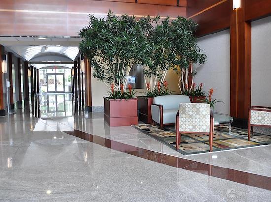 Working at Intelligent Office - Rockville, Maryland at Rockville